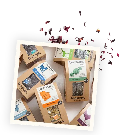 teapigs